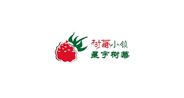 管理和质量保证体系国际质量管理和质量保证体系国际质量